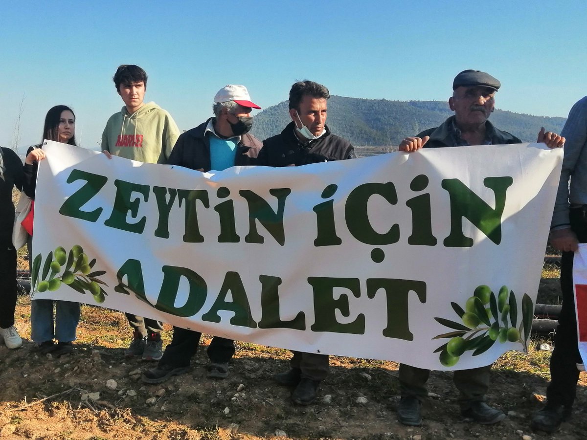 ChangeTR's tweet photo. Yönetmelikten sonra ilk zeytin kıyımı için geldiler!

@LimakEnerji ekipleri İkizköy'dekki zeytinliği sökmek istiyor. İkizköylüler izin vermemek, zeytin ağaçlarını korumak için herkesi desteğe çağırıyor.
@tcmuglavaliligi @TCEnerji 

Sen de destek ol!
👉https://t.co/K8wJ3D0ygH https://t.co/VmvLUIfTU4