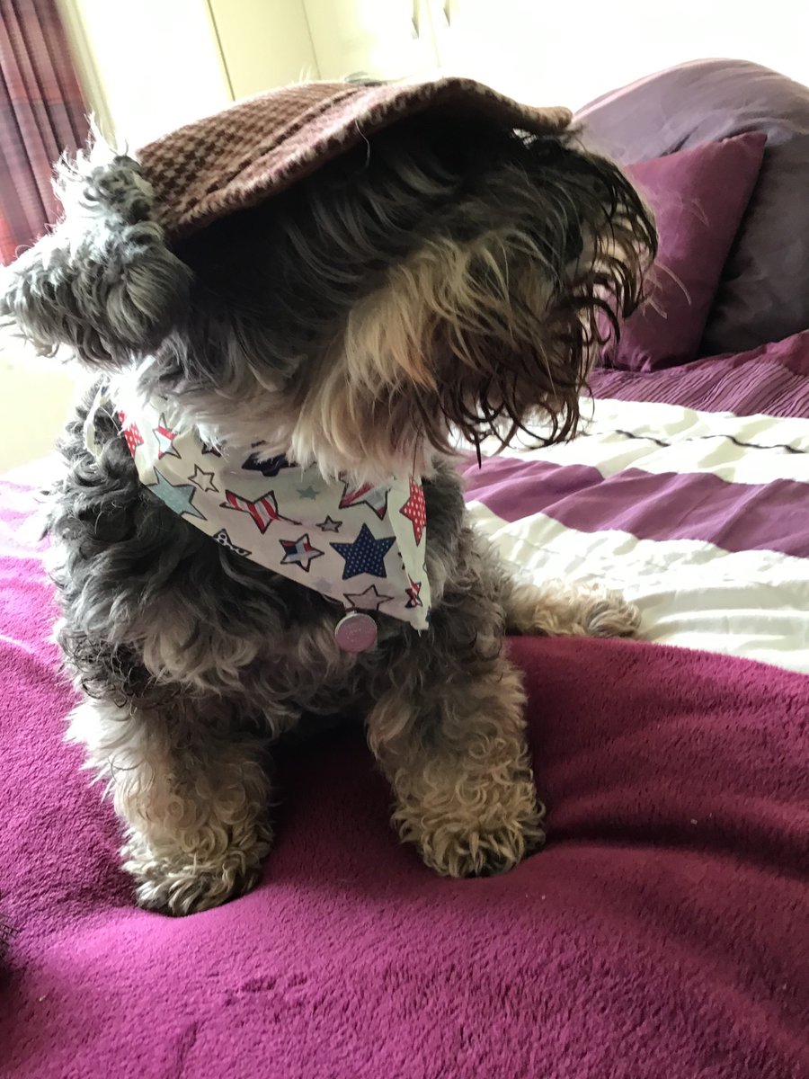 YorkshireBTC's tweet photo. Thank you to everyone who's taken part in #FlatCapFriday! 

We really appreciate how much awareness you've helped us raise for #BrainTumourAwarenessMonth 

We think Bonnie the dog might be in with a good chance of winning the @ARsuits selfie competition! 💙 https://t.co/yijs0KblH6