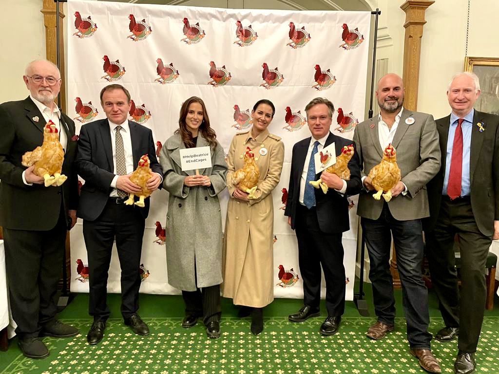marcthevet's tweet photo. Excellent event at @HouseofCommons with @HenrySmithUK & @HumaneLeagueUK to #EndCages for UK egg laying hens by introducing #BeatricesBill. Good to catch up with @PeterEgan6, @TheRealKirstyG, @imLucyWatson & @dunmore_says. Please sign & share: https://t.co/JJZY0up55Y #HelpBeatrice https://t.co/kWa6WG6Jxg
