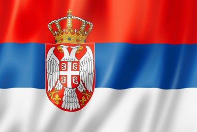 RoyalPetRescueS's tweet photo. Dear #TwitterPhilanthropy,
J.🌹 still suffers from horryfing PTSD from bombing in 1999 like every month of April.
Currently no new photos of anipals of #RoyalPetRescueSerbia #RPRS🐕🐾🇷🇸🐾🐈
Help us with #fundraising & #donations for food and bills.🙏🏻
https://t.co/3cn6Ml1OWJ https://t.co/pH7PmVDscv