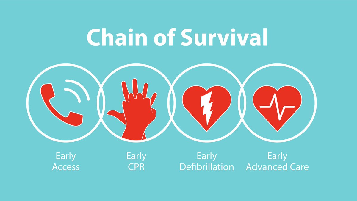 Rila_GPCourses's tweet photo. This image shows the key steps of intervention that contribute to a successful outcome after a cardiac arrest. Remember the chain is only as strong as its weakest link – therefore each step must be optimal!

PGDip Acute Medicine &amp; Urgent Care
Learn more: https://t.co/SvyyV1ZfE6 https://t.co/ybyX8MGATA