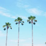 【公式】atta|楽しい旅を、もっとお得に。のツイート画像