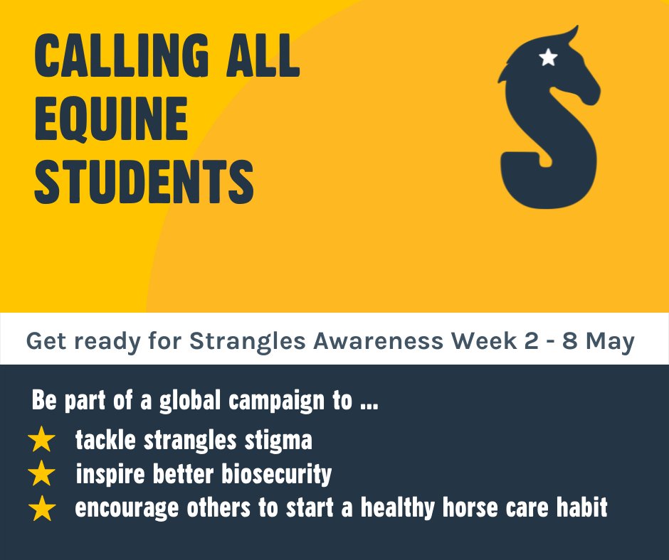 StranglesWeek's tweet image. Equine colleges and universities - get ready for Strangles Awareness Week this May! 📢
Please ask your students to promote &amp;amp; take the #tempcheckchallenge with the chance to win prizes! 🌡️

To find out more and sign up to become a SAW ambassador visit redwings.org.uk/strangles/stra…