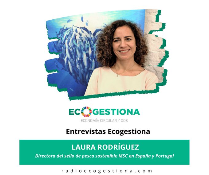 MSCenEspana's tweet photo. 🐟📢No te pierdas mañana @ecogestiona @CAPITALRADIOB en el que @laurarzugasti de @MSCenEspana presentará el #LibroDeCocinaAzul 2022, con recetas de #PescaSostenible de top chefs de todo el mundo💙 
#SelloAzul #MaresParaSiempre #CocinaAzul #AzulinaConMSC #ComunicarPescaSostenible https://t.co/JTTdlSK9LZ