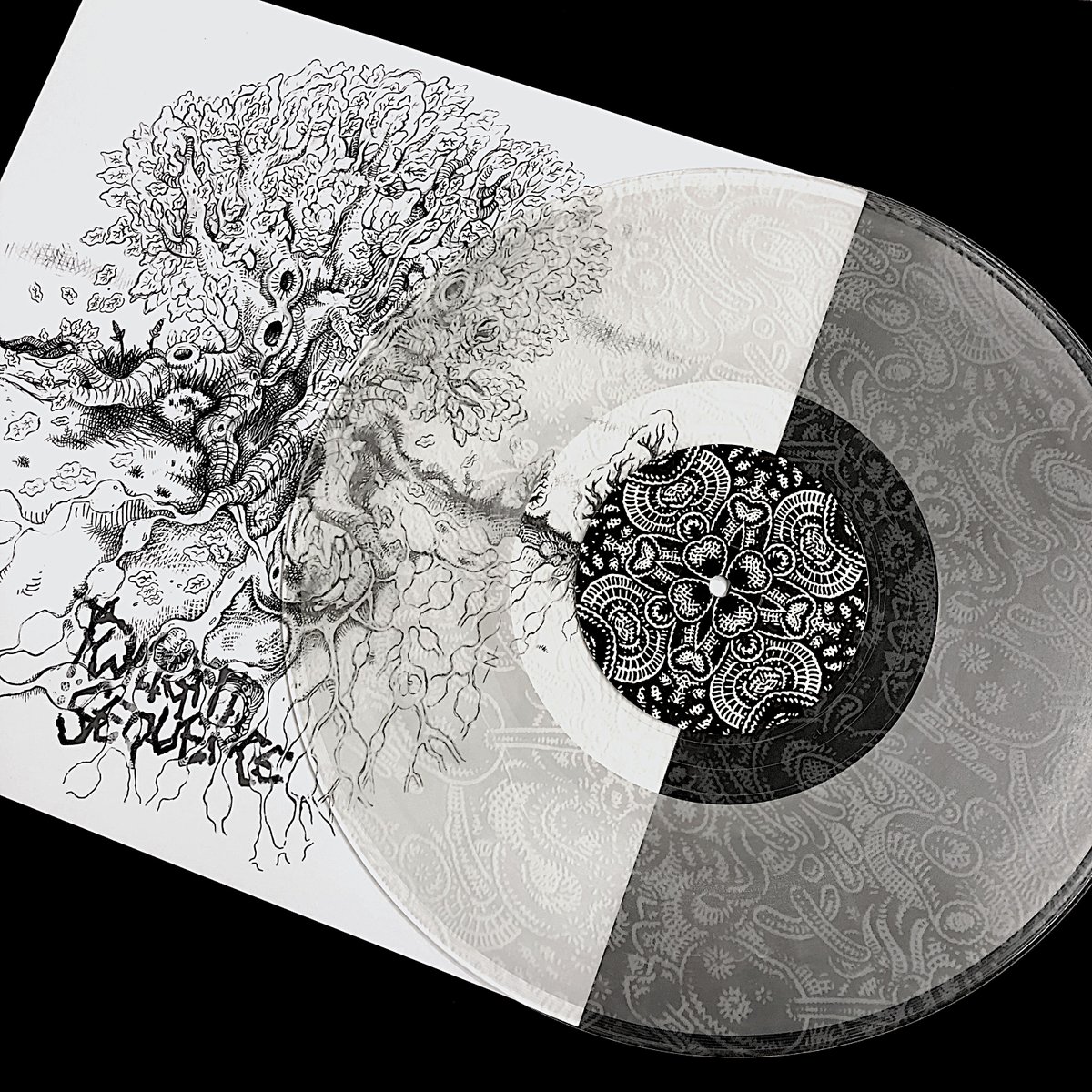 Fortedistro's tweet photo. New TWILIGHT SEQUENCE etched clear vinyl 12" "Trees In General: And The Larch" out tomorrow! 
🤩🤩🤩🤩

Available in good record shops across the land!

@CastlesInSpace @unitygains #twilightsequence #NewMusic #electronicmusic #modularsynth #ThursdayMotivation #NewMusicFriday https://t.co/FSR2WQfGml