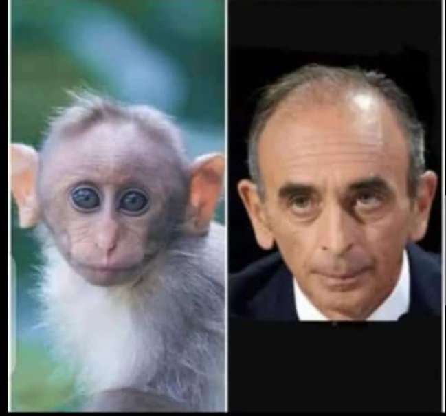 lebams01's tweet photo. Avis de recherche
Les responsables du zoo de ... déclarent  la disparition d'un de ses ... La dernière nouvelle, l'animal serait aperçu dans un salon de coiffure.  
#je_suis_fier_detre_senegalais https://t.co/I50RFNNlKA