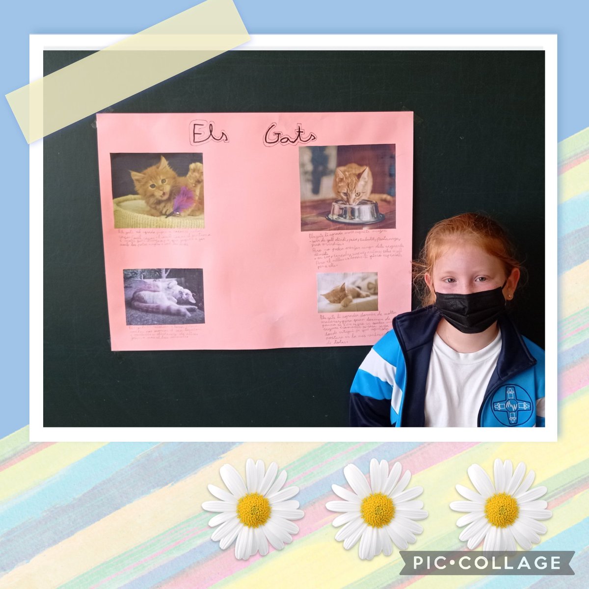 EscolaMariaWard's tweet photo. #2EPB Exposicions orals: Avui l'Alexia ens ha parlat dels gats. Ho has fet molt bé!Felicitats!🤩 https://t.co/3CkUPX1xoA