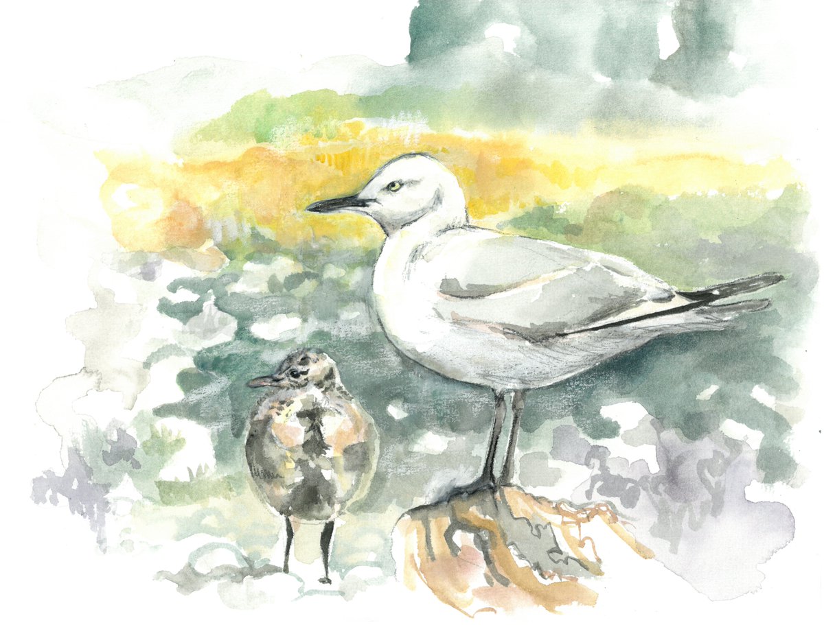 MCS_Sissa's tweet photo. Abby McBride (@sketchbiologist) tells stories about nature #conservation through her sketchbook. Biologist, artist and science writer, she defines herself as an anachronistic Victorian naturalist. 
Here is one of her last adventures with @NatGeo.

#sciart 
https://t.co/OgMFMIkWV6 https://t.co/K4VEIaKfvu