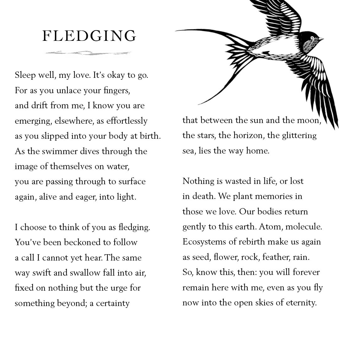 To mark the paperback launch of #TheHeeding today, I wanted to give away a new poem. Written recently for a friend in loss, it’s for everyone now to share, print, read out or whisper to themselves wherever and whenever it may be needed. 

Please RT and share. It’s yours.