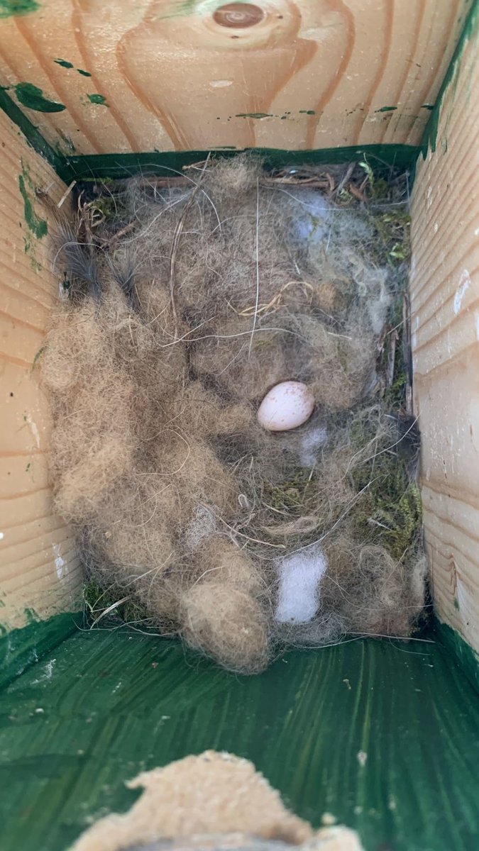 Dept. of Animal Ecology tweet media