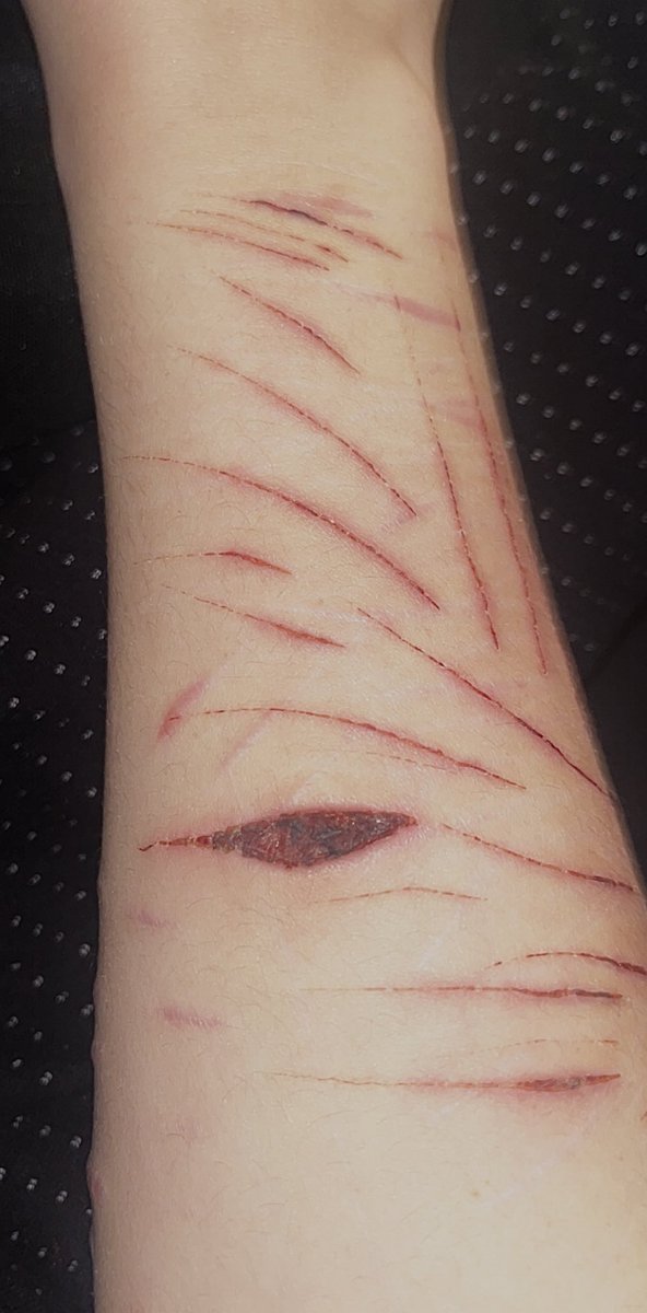 styrosbitch's tweet photo. shtwt https://t.co/Ud3Fez9AJd