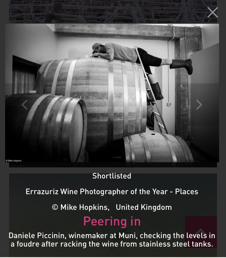 bottledfilms's tweet photo. This was my entry with #danielepiccinin #muni https://t.co/TrvOi94cve