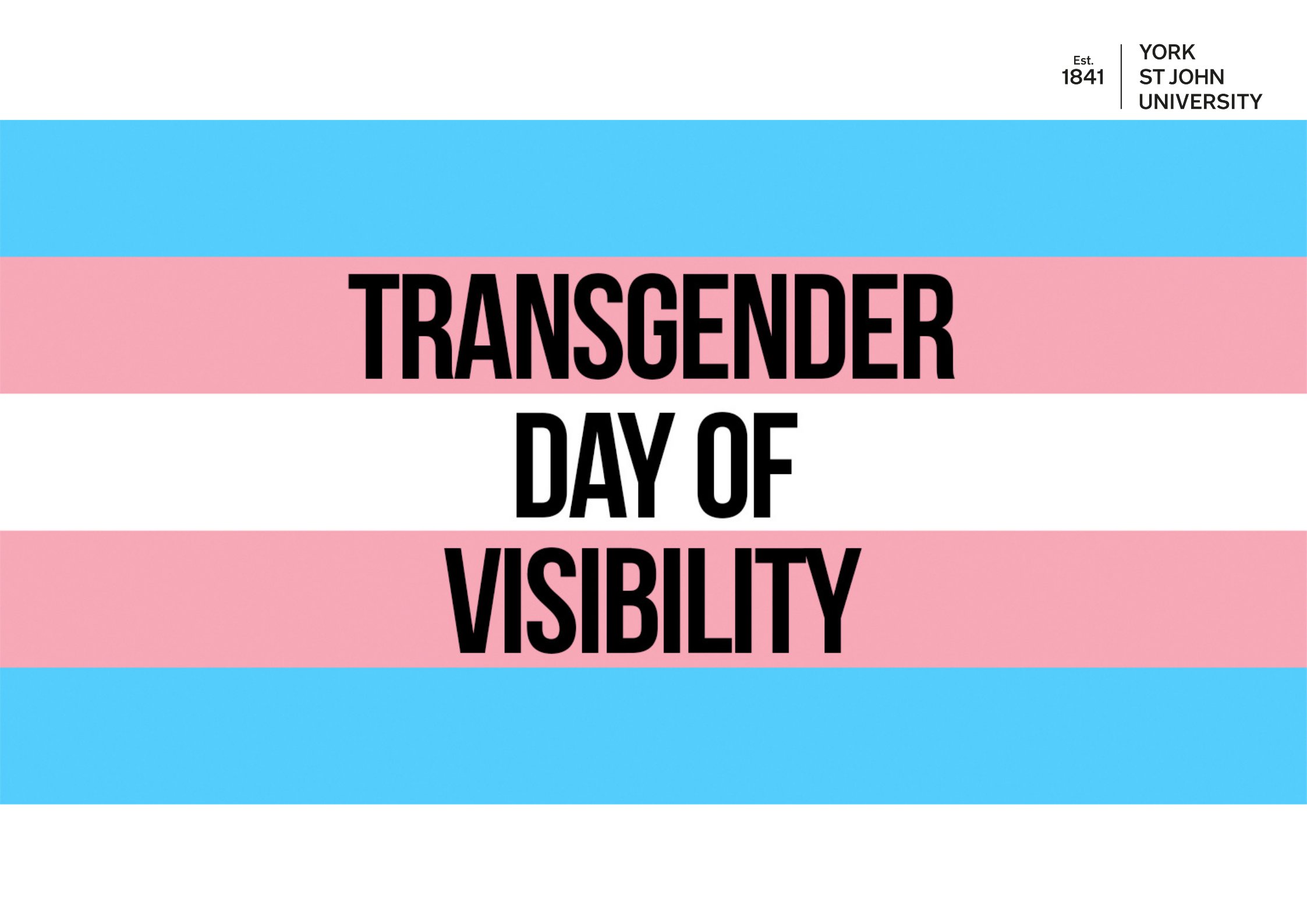 Transgender flag in blue white pink and words Transgender Day of Visibility