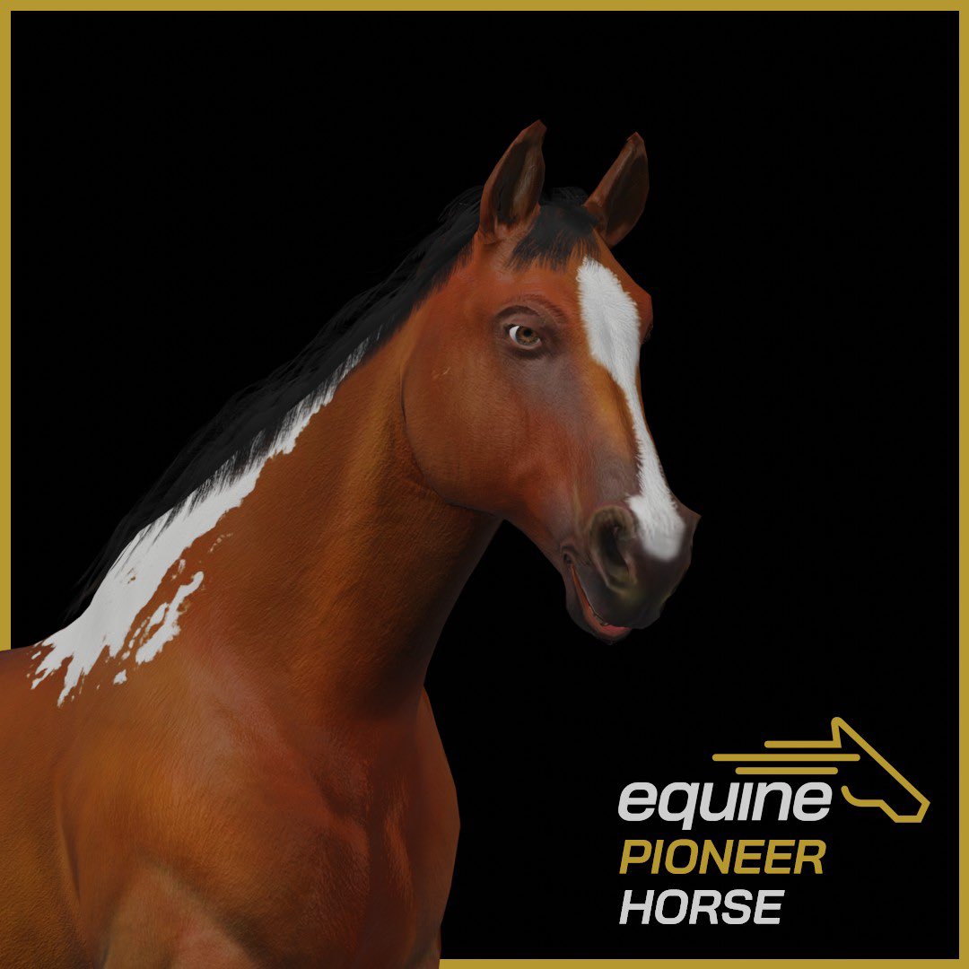 TurdlingsNFT's tweet image. Flash Equine giveaway ends tomorrow! To enter all 4 giveaways.

1. Follow + Like ❤️
2. Tag 3 friends 🤗
3. Join Discord discord.gg/hb4yrur5JU
4. Post your twitter link in the Turds-Follow-Turds channel in our discord ⬅️Required
5. Retweet 🐦

 #CNFTGiveaway #ADA #NFT