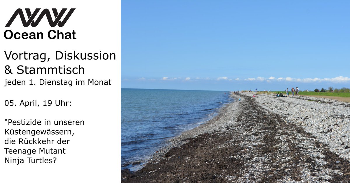 Simon Jungblut tweet media