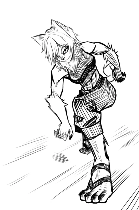 some rough sketch 