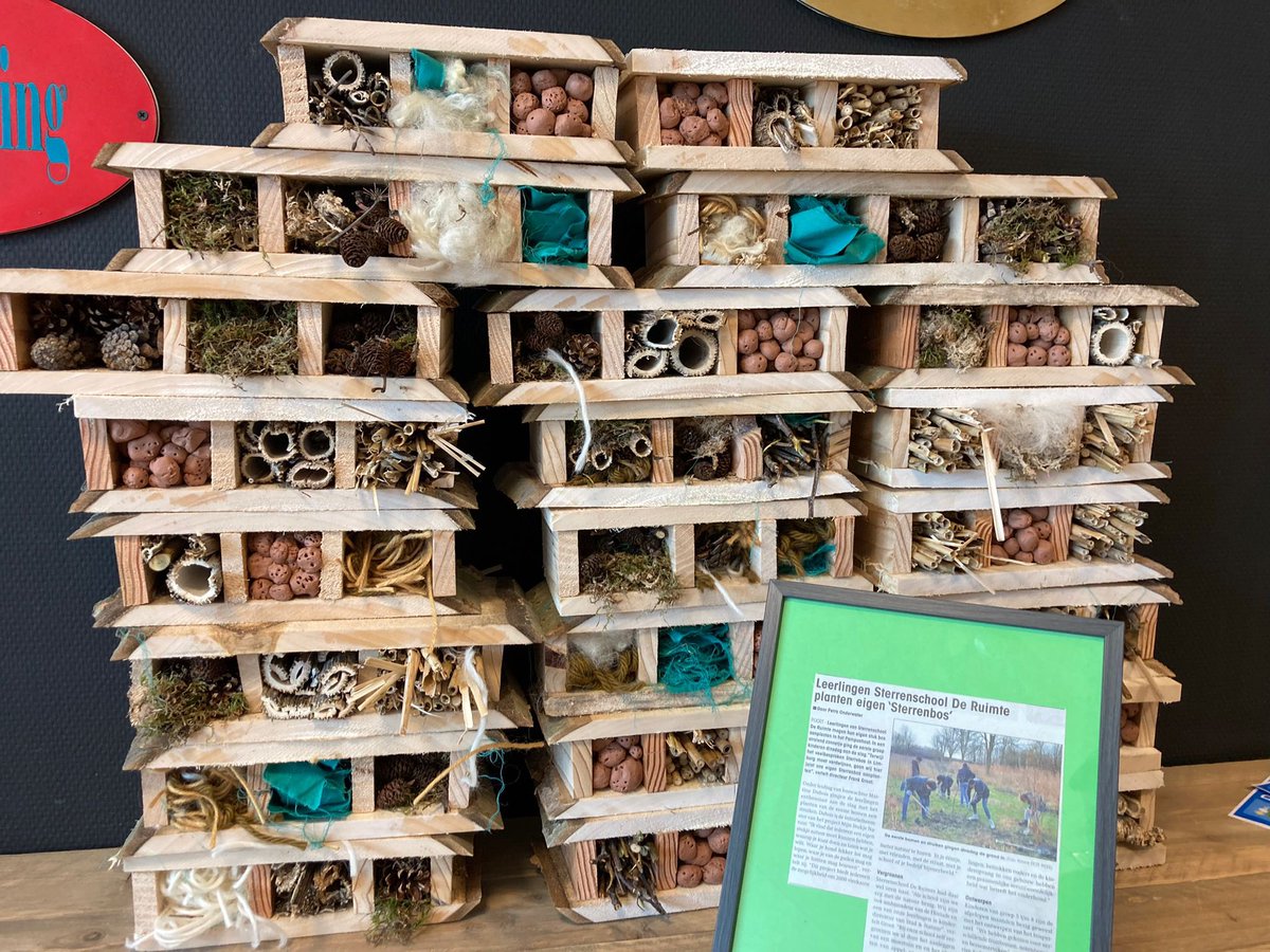In het insectenbos bij sterrenschool <a href="/DeRuimteAlmere/">De Ruimte</a> kunnen heel wat insecten op bezoek in de hotels die de kleuters gemaakt hebben tijdens de #floriALLY workshop uit het Collagemenu.