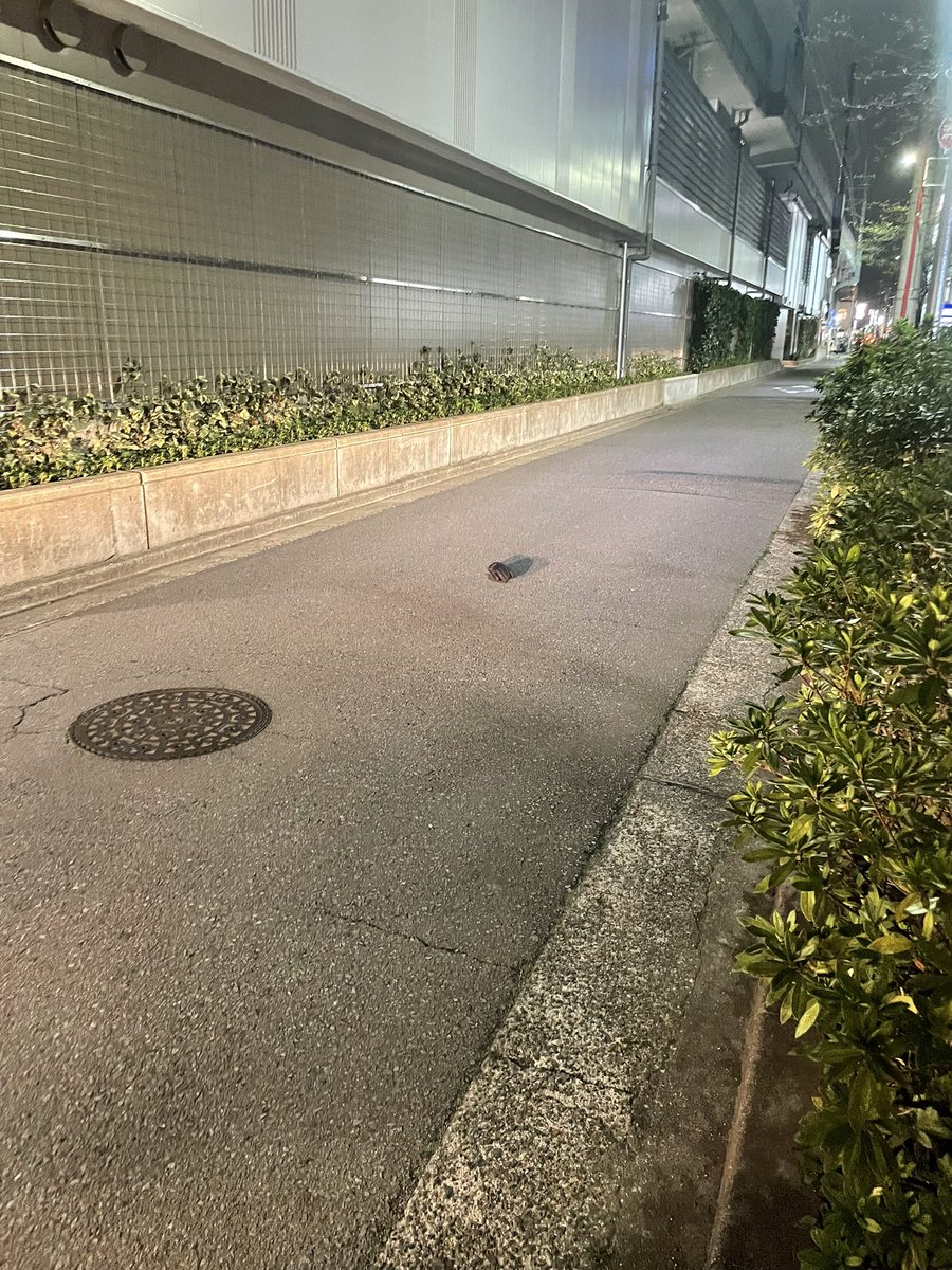 tebukuro7188's tweet photo. もうこの季節は終わったと思ってたけど、ほやほやのトムハンクス
#片手袋 @tomhanks https://t.co/YtyKwJ4pxz