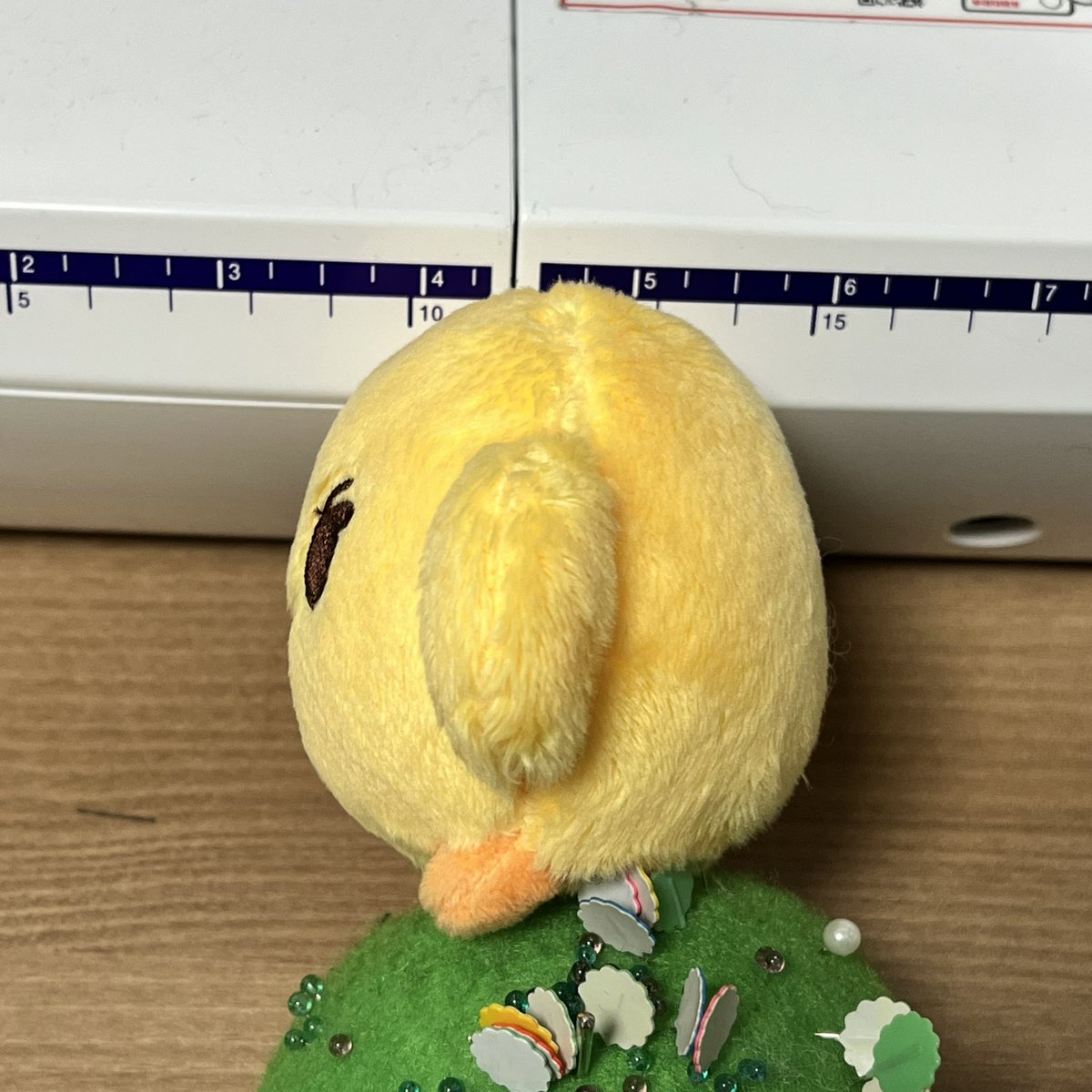 팬케이크 도삐                         벌크업 도삐💛