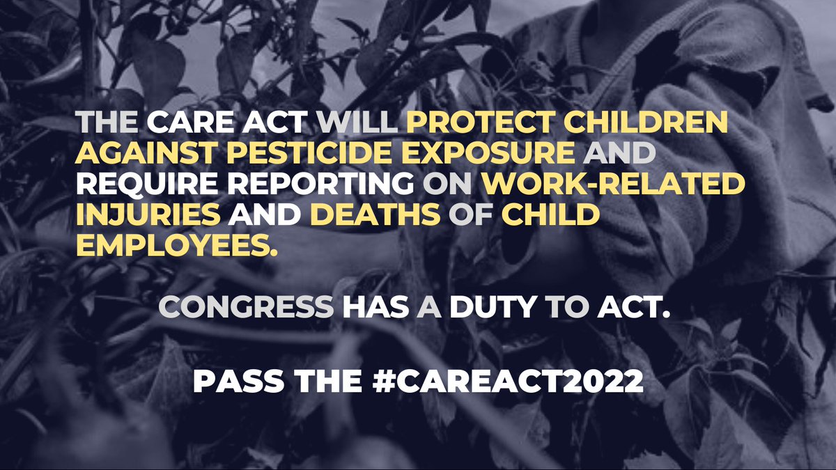 RepRoybalAllard's tweet photo. From the time that I first introduced the CARE Act in 2001, until now, a child working in agriculture has died every three days, and roughly 33 children are injured each day.

Congress has a moral obligation to act! 

We need to pass the #CAREACT2022. https://t.co/alJBQHKTCC