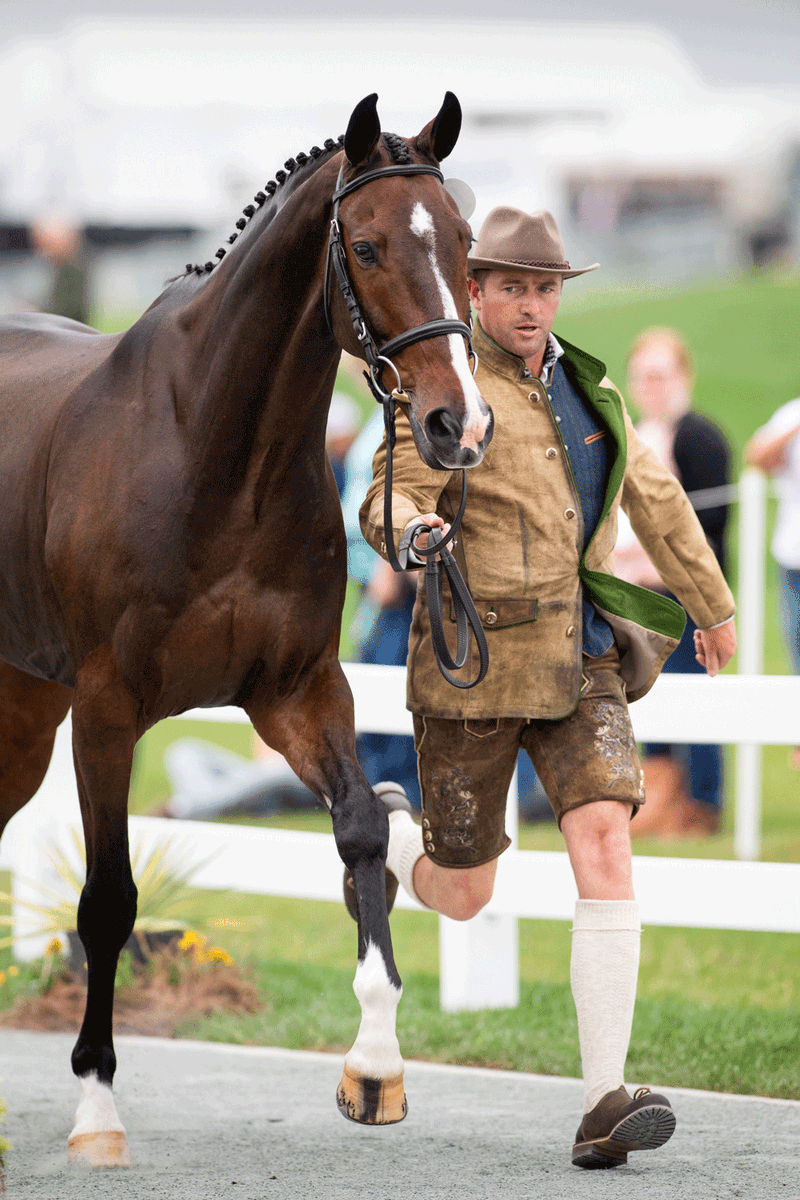 Maryland5Star's tweet photo. With the first 5 Star (CCI5*-L) event of 2022 just a few weeks away, we can't wait to see what the athletes will sport at the first horse inspection!🐴💃 What was your favorite style from the 2021 #MD5Star? #horseinspection #eventing #CCI5 #5Star #Maryland5Star #cecilcounty https://t.co/mU3YmIt9iq