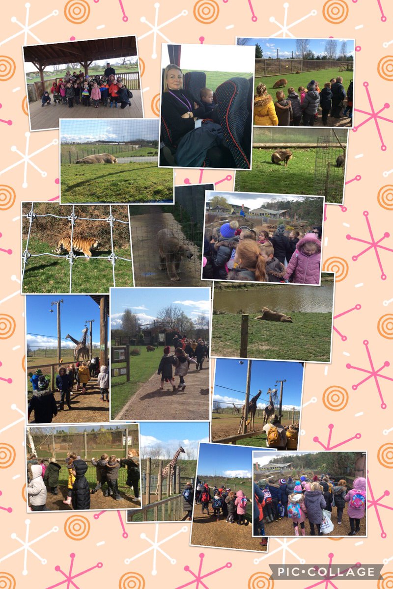 Class York tweet media