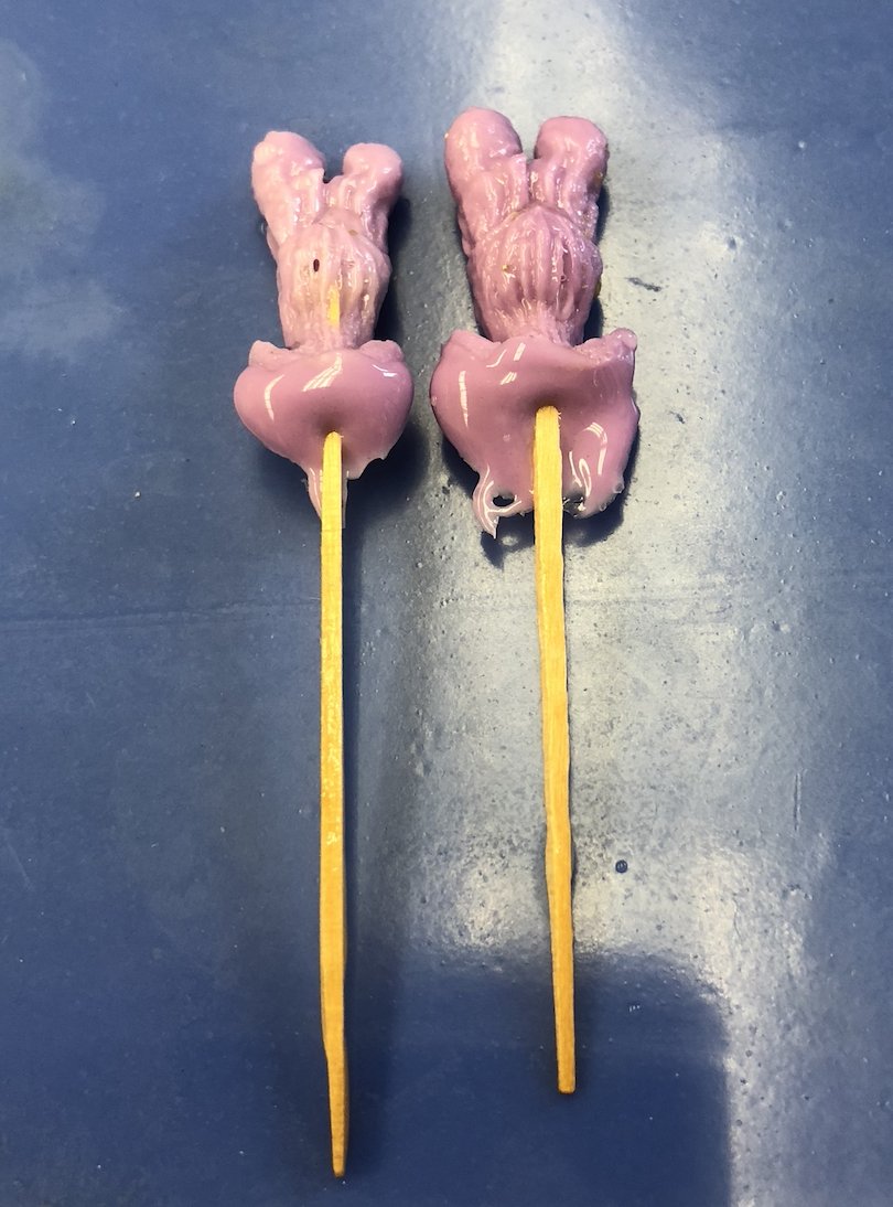 Rachel E. Gross on X: “I make vagina lollipops, Rachel, she said, while  we waited in her lab for the molds to dry. This is what my life has come  to.” 