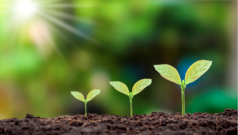 Éthique & Investissement (@ethiqueinvest) on Twitter photo Chers Éthinvesteurs,
RDV lundi 16 mai 2022 à 18h pour notre colloque sur le thème "La croissance en question".
<a href="/OlivierJohanet/">Olivier Johanet</a> animera le débat entre <a href="/GFeroneC/">Genevieve Ferone</a>
et <a href="/ghislainlafont/">Ghislain Lafont</a> .
Pour vous inscrire à l'évènement cliquez ci-dessous 👇:
helloasso.com/associations/e… Chers Éthinvesteurs,
RDV lundi 16 mai 2022 à 18h pour notre colloque sur le thème "La croissance en question".
<a href="/OlivierJohanet/">Olivier Johanet</a> animera le débat entre <a href="/GFeroneC/">Genevieve Ferone</a>
et <a href="/ghislainlafont/">Ghislain Lafont</a> .
Pour vous inscrire à l'évènement cliquez ci-dessous 👇:
helloasso.com/associations/e…