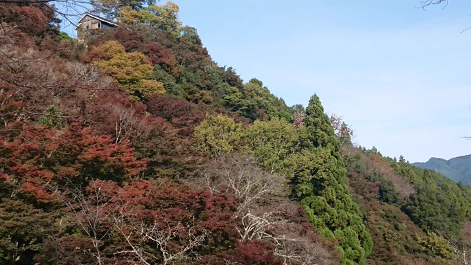 11/6、吉野山紅葉狩りで山登りするぞ!つってたらなぜか途中で折り返し乗る予定のなかった交響曲に阿部野橋まで叩き込まれた回。このあとは出町柳のジャジャーンカラへ行ってから京都から伊勢志摩ライナーで帰る行程に。色々と謎だった 