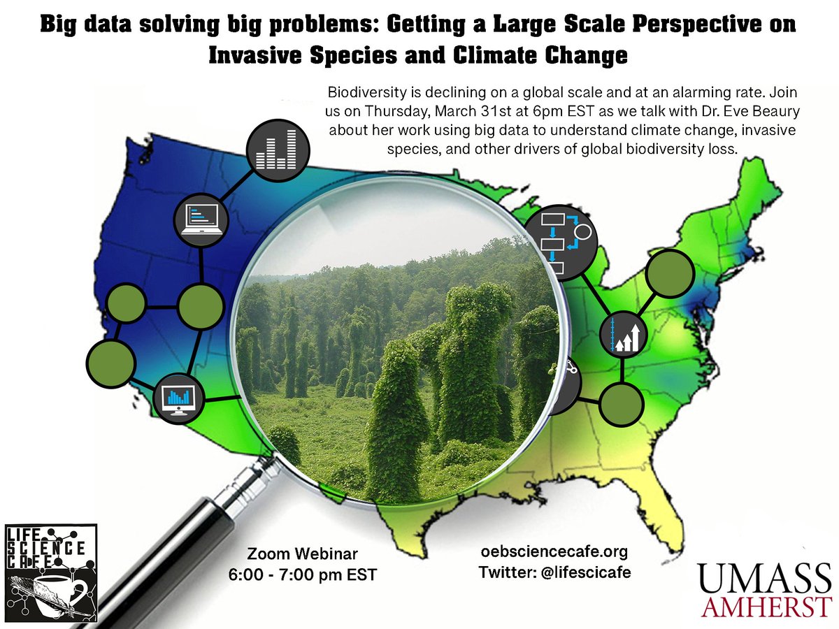 Today's Cafe! Join us as we talk with former Science Cafe member Dr. Eve Beaury @evecologist about her work on #invadespecies #climatechange #globalbiodiversity #bigdata

Today from 6-7Pm EST
Register umass-amherst.zoom.us/webinar/regist…