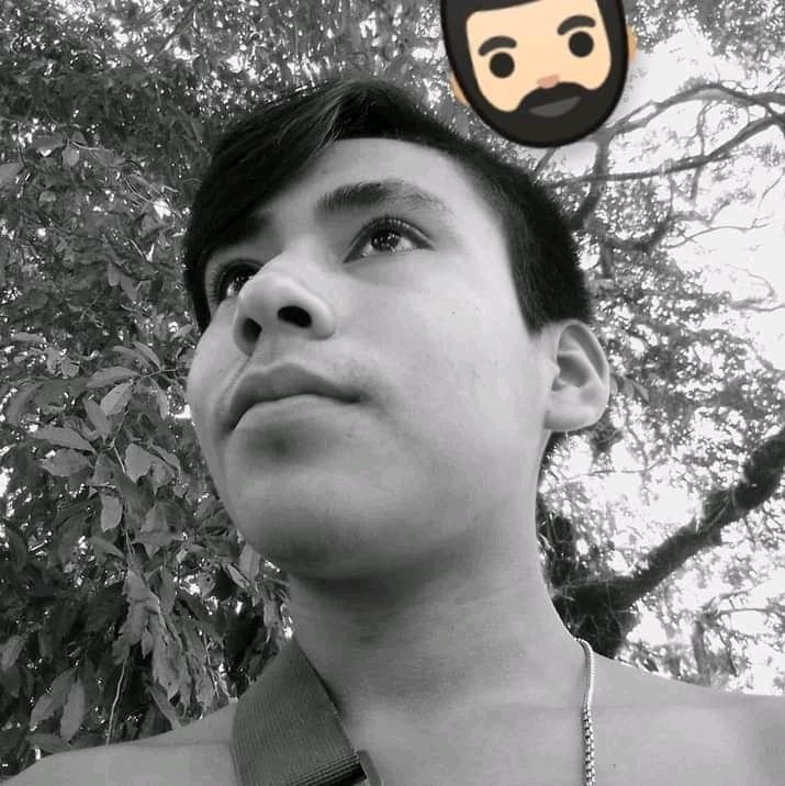 Fernand79823434's tweet photo. Si quieres ver mis videos donde cojo y me cojen mis fotos y conversaciones con mis gays y mayates sígueme y en la página mayates San Luis Acatlán el Carmen gro. Y toda la costa y en xxx pornos gays https://t.co/OYfZ8azmdo