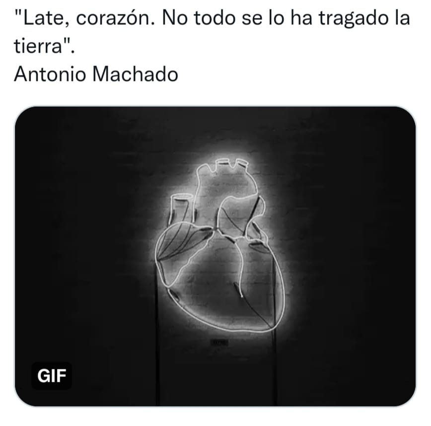 NormaFriedmann's tweet photo. Feliz JUEVES! ❤a darle energía al corazón.. .late..late..gracias! https://t.co/xnIWhS8DJs