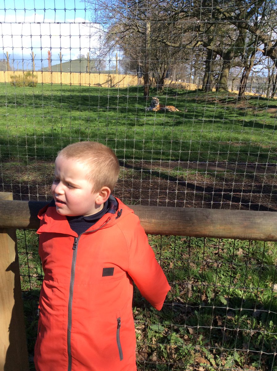 Mrs Cooper tweet media