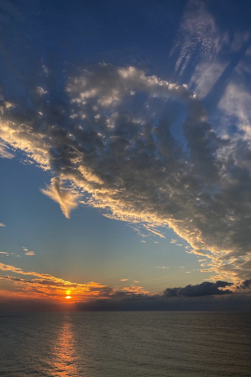 Bill Artídoto tweet media