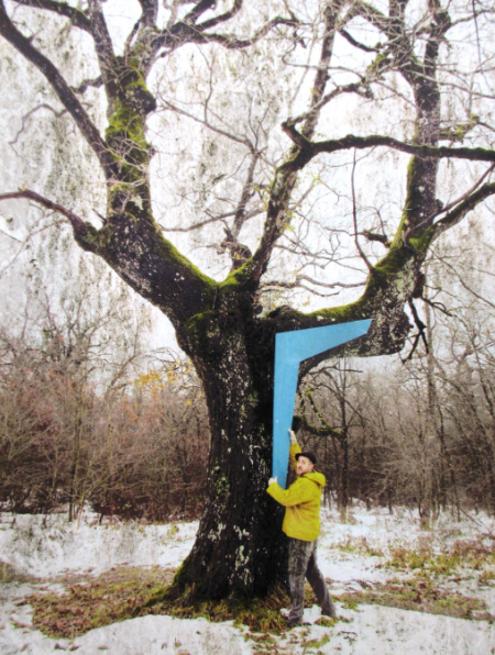 anderiza's tweet photo. Las formas de estos robles no son naturales. Los guiaron hace siglos, con podas y pesos, para obtener las grandes piezas curvadas que necesitaban en la construcción naval. Caminas por el bosque y ves galeones. (Un trabajo de @albaola en el bosque de Dantzaleku, Altsasu). https://t.co/pxLbmww7KB