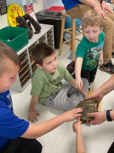 RJLMassapequa's tweet photo. Mrs. Birney's first graders learning about underwater creatures. https://t.co/cMCmDFD9Zo