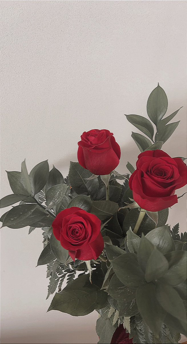 megraymondd's tweet photo. Mon ami de Montréal ne pouvait pas venir me voir pour ma fête donc il m’a fait livrer des fleurs 🥺🥺🥺 je l’aime trop https://t.co/DDL6pmEBZC