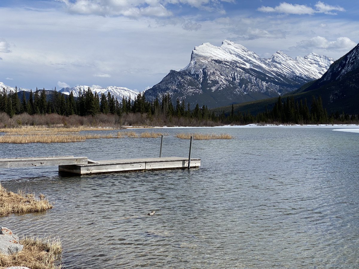 xiranda's tweet photo. #Banff #VermilionLakes #MtRundle https://t.co/0p7o677Jow