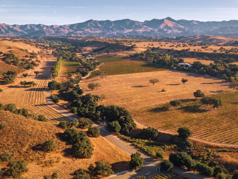 VisitSMV's tweet photo. Yeah… we know. 😍 Plan your next trip to #SantaMariaValley by using one of our pre-built itineraries: https://t.co/1udIRBqdOy
We’re just here to make life easy for ya. 😉
#VisitSantaMariaValley #SantaMariaStyle #ThingsToDoInCalifornia #CaliforniaCentralCoast #WestCoast https://t.co/rAtSVdFtRY