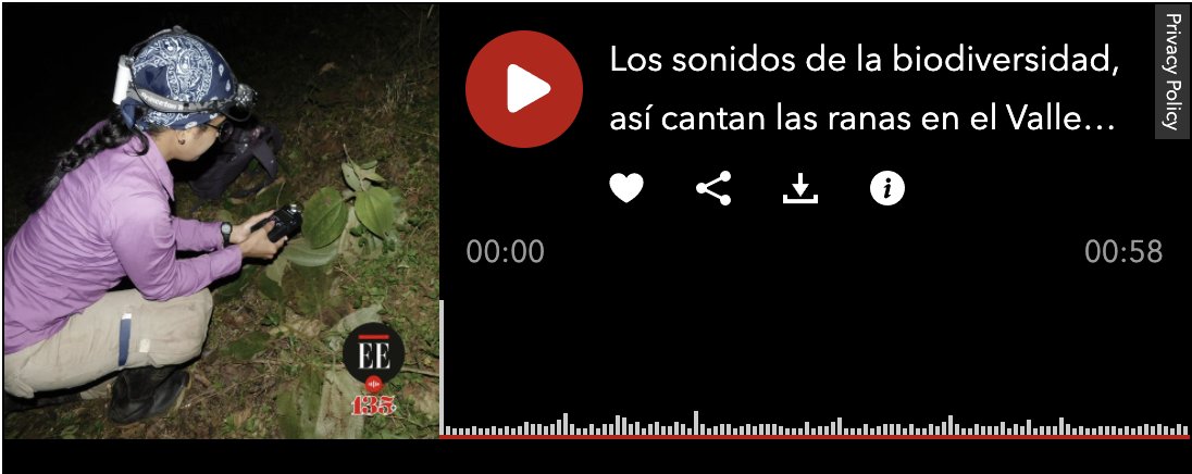 🇺🇦 🇨🇴 🇺🇸 Andrew J. Crawford (@crawfordaj) on Twitter photo Here's some true Colombian 🇨🇴 #Encanto:
Frog calls 🐸🎼
"¿Por qué Colombia debería escuchar a sus ranas?"
or 'On the importance of listening to the frogs!'
by <a href="/jpablocorreap/">Juan Pablo Correa</a> for <a href="/elespectador/">El Espectador</a>
Have a listen 👂🏽 here 👇🏽
elespectador.com/ambiente/bibo/… Here's some true Colombian 🇨🇴 #Encanto:
Frog calls 🐸🎼
"¿Por qué Colombia debería escuchar a sus ranas?"
or 'On the importance of listening to the frogs!'
by <a href="/jpablocorreap/">Juan Pablo Correa</a> for <a href="/elespectador/">El Espectador</a>
Have a listen 👂🏽 here 👇🏽
elespectador.com/ambiente/bibo/…
