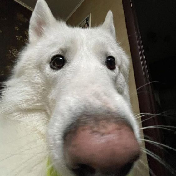 uᴉꓩ (@jin421jin) on Twitter photo 