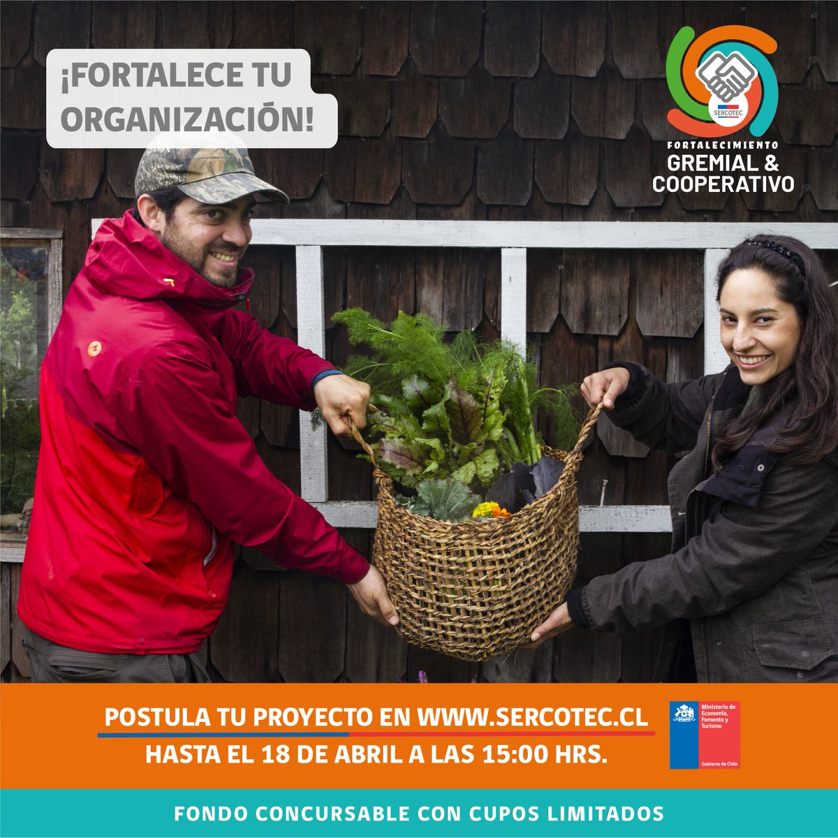 #FortalecimientoGremialyCooperativo cuenta con dos modalidades:

✨Creación y desarrollo
✨Fortalecimiento
➖  Encuentra toda la información que necesitas en sercotec.cl y postula informado/a

⚠️ ¡Cupos Limitados!