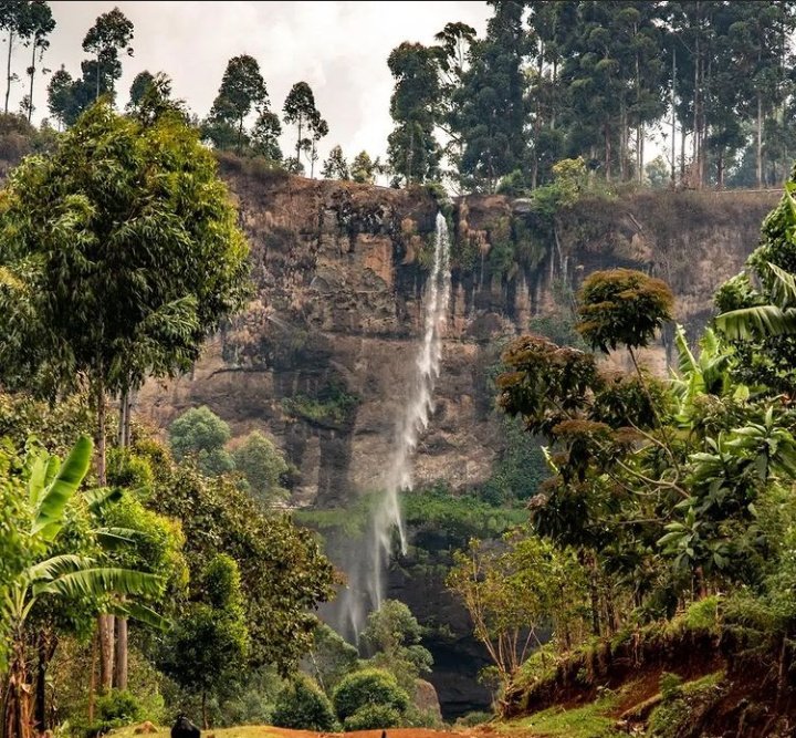 salimo_paul's tweet photo. Sipi falls-kapchorwa

Then.                                              Now. https://t.co/XGQx9uVSI7