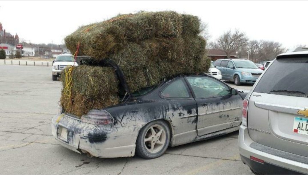 Matt Schultz tweet media