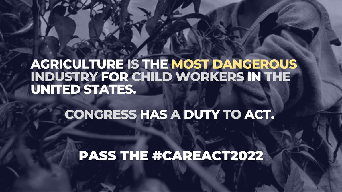 RepRoybalAllard's tweet photo. Today, I am re-introducing the Children’s Act for Responsible Employment and Farm Safety to protect the rights, safety, and future of every child working in Agriculture across America.

Congress has a moral obligation to act! 

We need to pass the #CAREACT2022. https://t.co/EZyD4TZ3gp
