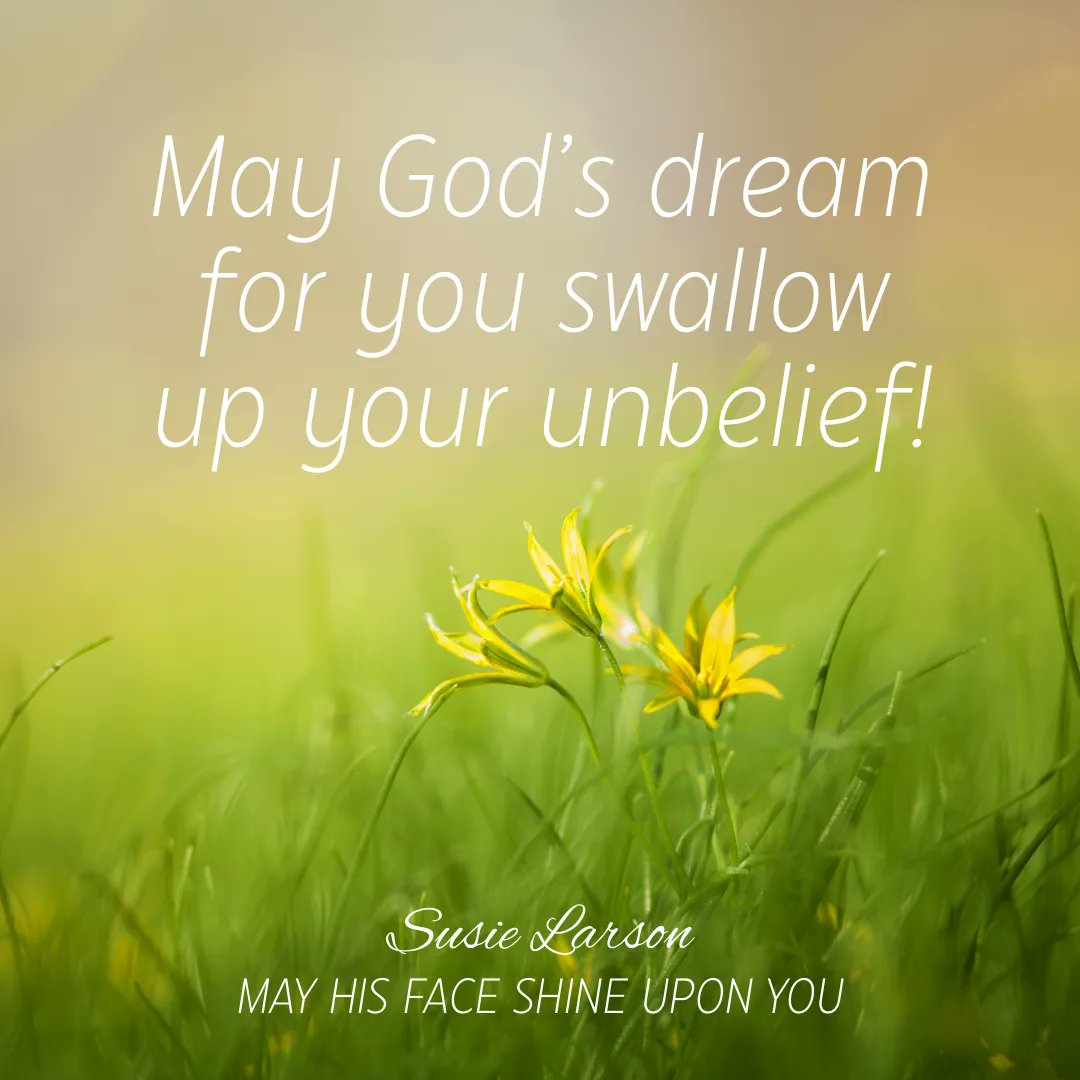 SusieLarson's tweet photo. May you have a strong sense of the impossible things God wants to do in, through, and around you. May God’s dream for you swallow up your unbelief! May you have faith enough to put out your buckets and prepare for rain. God moves on faith. May He move mightily because of yours. https://t.co/X2xkVAAGYk