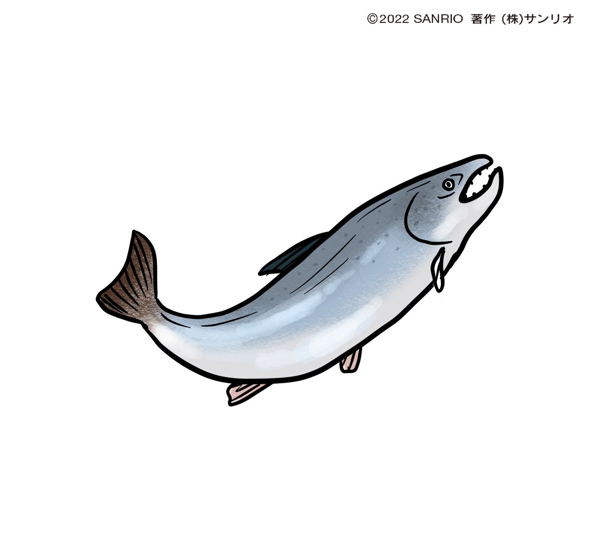 no humans fish white background simple background animal focus animal full body  illustration images