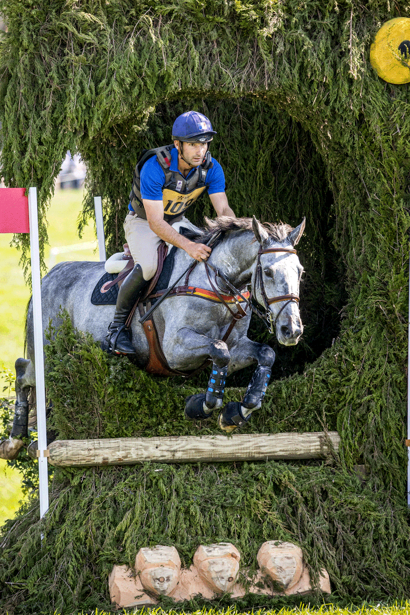 Maryland5Star's tweet photo. #TriviaTuesday - Can you name this horse and rider pair? Hint: They were the only combination to represent France at the inaugural #Maryland5Star in 2021!🇫🇷🏇 #MD5Star #5Star #CCI5 #france #USA #Maryland #cecilcounty #fairhill #eventing #USAeventing https://t.co/KoysEOA7mC