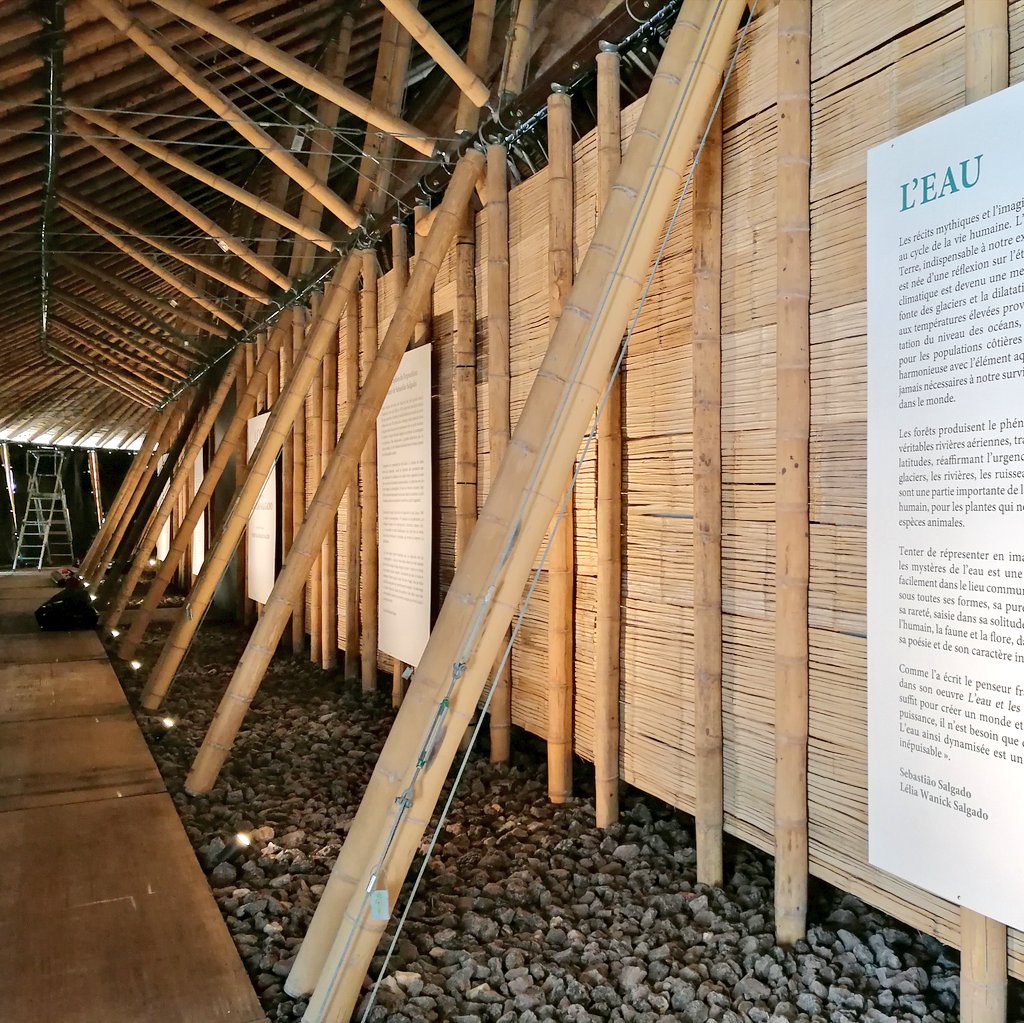 Chessa Milena tweet media