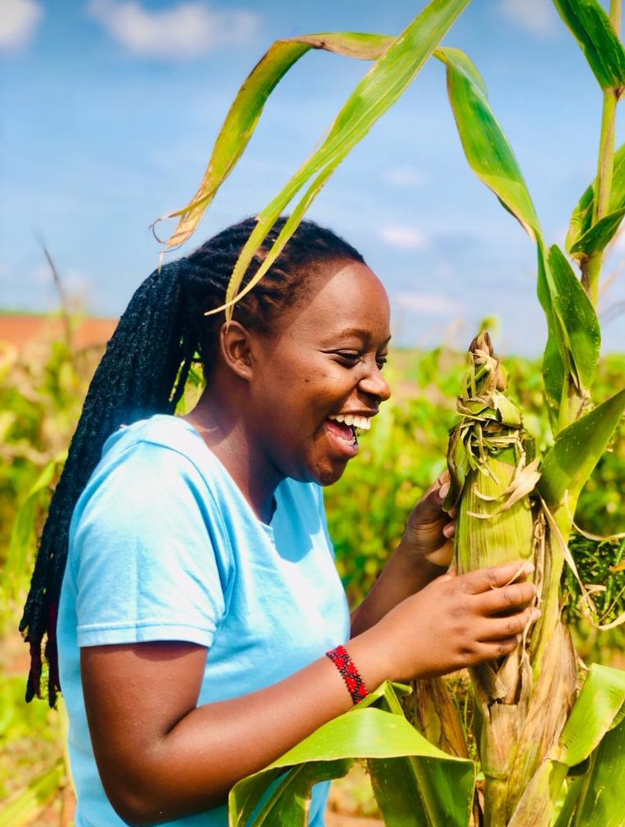RukundoChrist14's tweet photo. Dear farmers, Farming is not only about getting your hands dirty, worrying about your investment and the market of your produces. However, it is more of enjoying the harvest from your farm and this goes with good planning and timing before you produce, and the use of technology. https://t.co/3TTMptcaBj